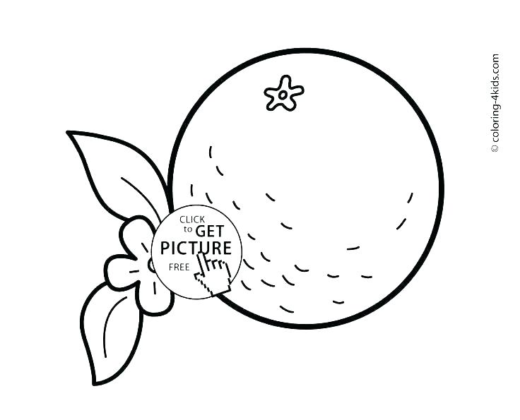 736x595 Printable Fruit Coloring Pages Fruit Basket Coloring Pages Fruit