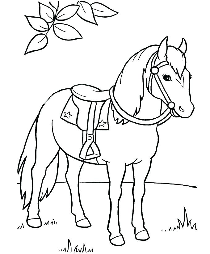 Cute Horse Coloring Pages Beautiful Horse Coloring Pages Horse 680x822 Cute Horse Coloring Pages Beautiful Horse Coloring Pages Horse