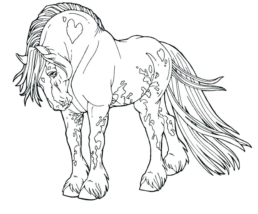 Free Printable Horse Coloring Pages Cute Horse Coloring Pages Free 878x729 Free Printable Horse Coloring Pages Cute Horse Coloring Pages Free