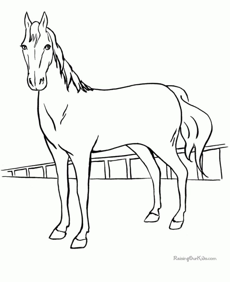 Printable Horse Coloring Pages Animal Coloring Pages 735x900 Printable Horse Coloring Pages Animal Coloring Pages