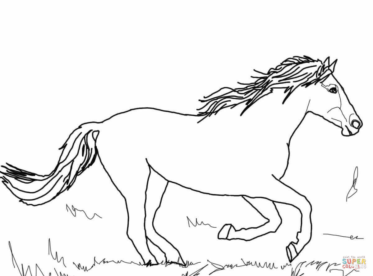 Beautiful Mustang Horse Coloring Page Free Printable Coloring 1200x890 Beautiful Mustang Horse Coloring Page Free Printable Coloring