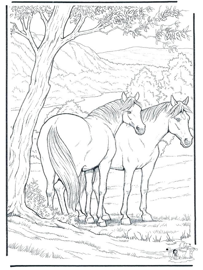 660x880 Horse Coloring Pages Free Beautiful Horse Coloring Pages Free
