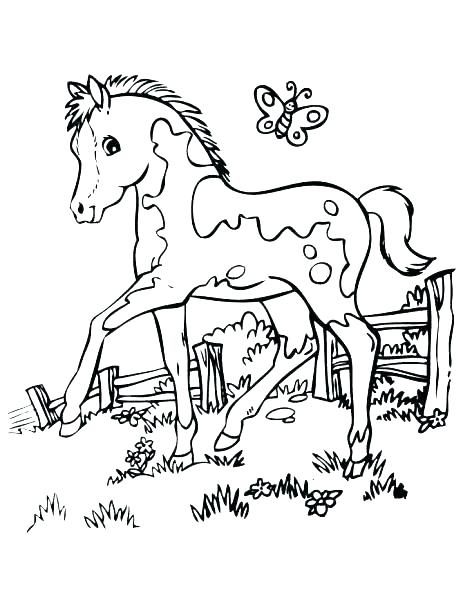463x600 Horse Coloring Pages For Adults