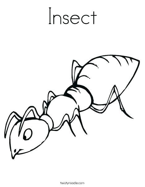 468x605 Free Printable Insect Coloring Pages Genuine Insect Coloring Pages