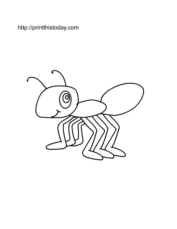 612x792 Free Printable Insects Coloring Pages