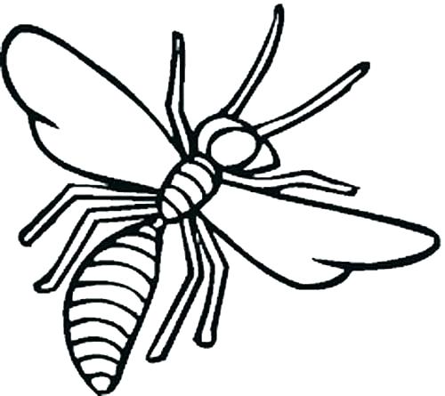 500x445 Insect Coloring Pages Printable Insect Coloring Insect Coloring