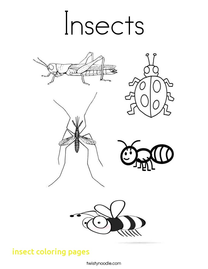 685x886 Insect Coloring Pages With Insect Coloring Pages Printable