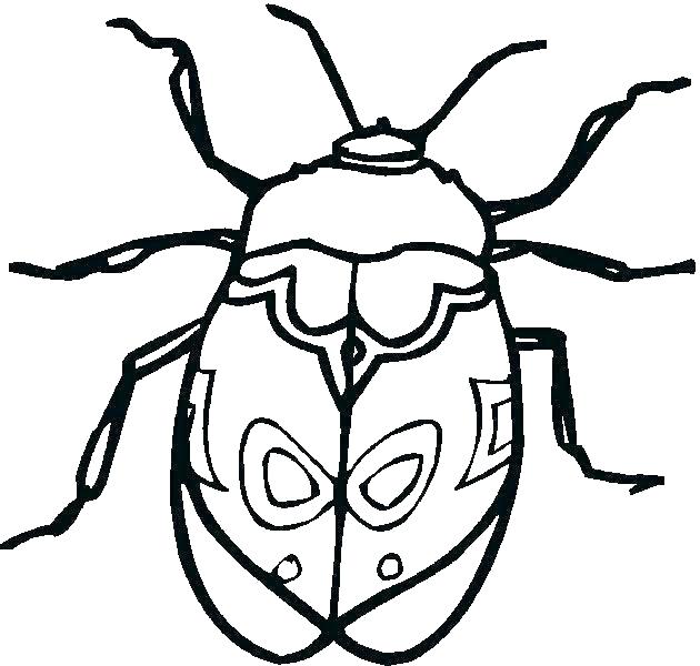 630x600 Bug Coloring Pages Bug Coloring Page Bug Coloring Page Insect