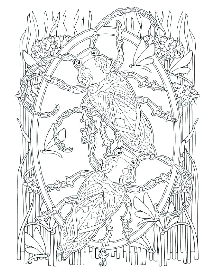 736x950 Insects Coloring Pages Coloring Pages Insects Free Printable