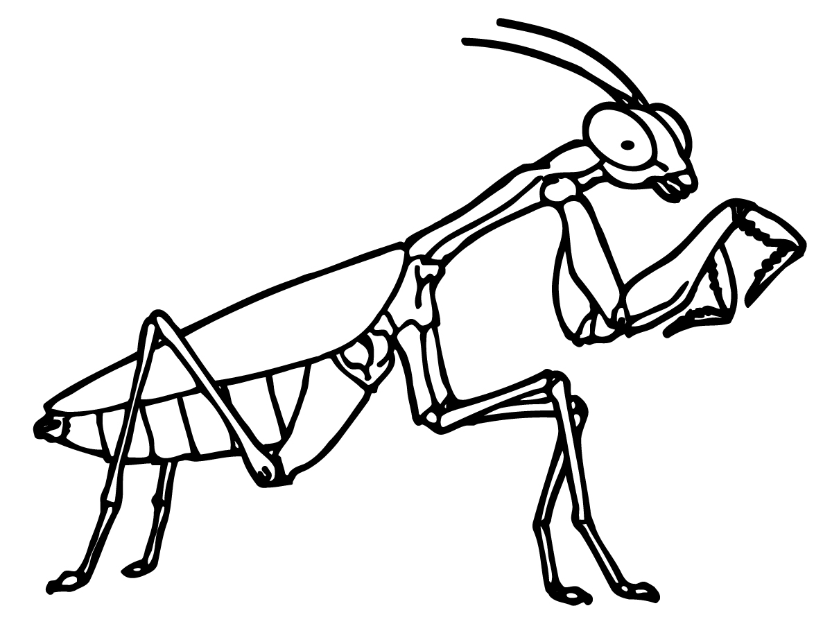 1200x900 Startling Insect Coloring Pages Top 82 Free Pa