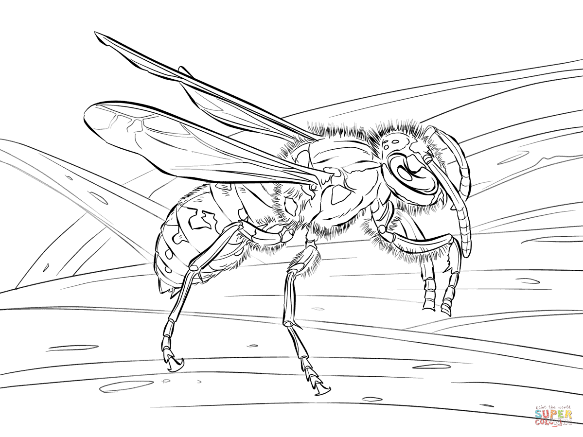 1199x899 Unique Design Insect Coloring Pages 12