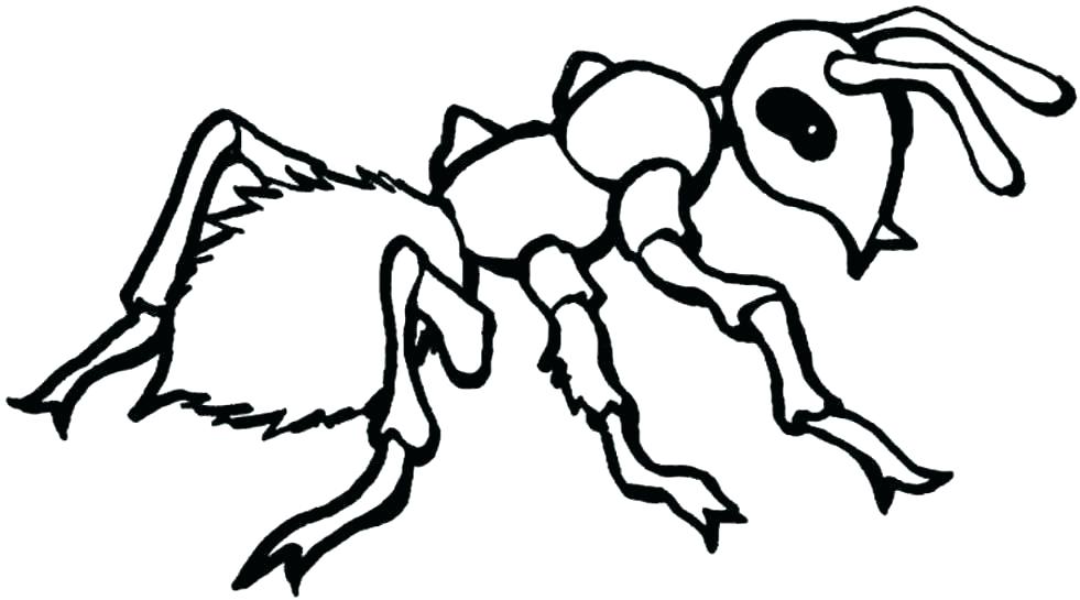 981x545 Unique Insect Coloring Pages And 71 Cute Bug Colouring Pages