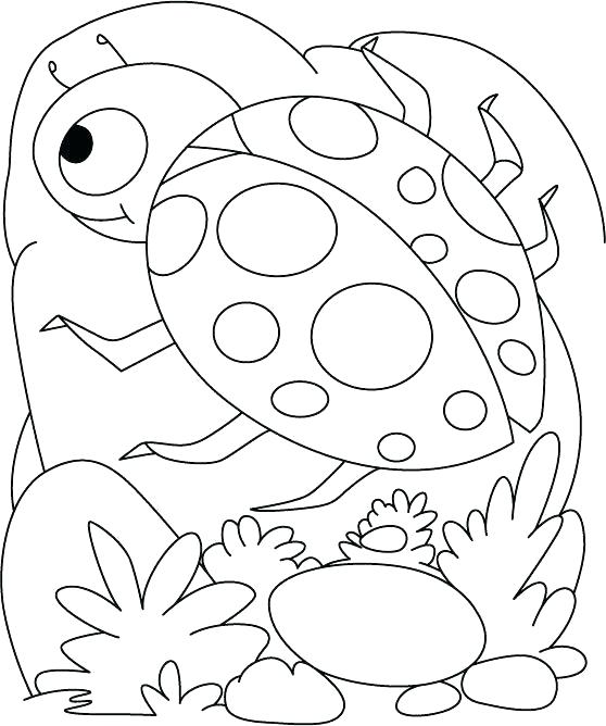 558x668 Coloring Pages Insects Free Printable Insect Coloring Pages Free