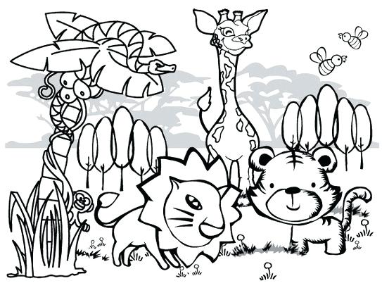 543x409 Jungle Animals Coloring Pages Printable Coloring Pages Of Animals