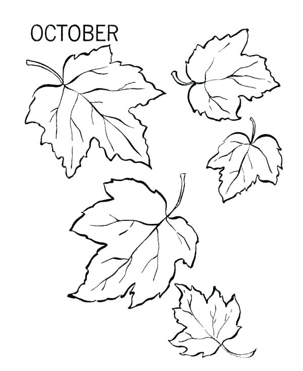 600x734 Free Printable Fall Leaf Border Paper Kids Coloring Leaves