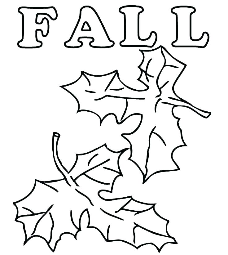 736x822 Printable Fall Coloring Pages Printable Leaves Coloring Pages