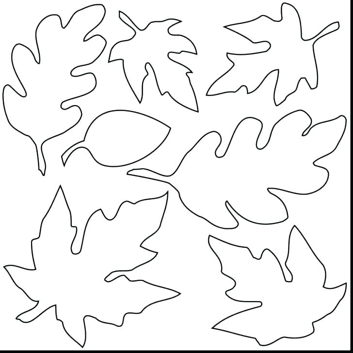 728x728 Printable Leaves Coloring Pages