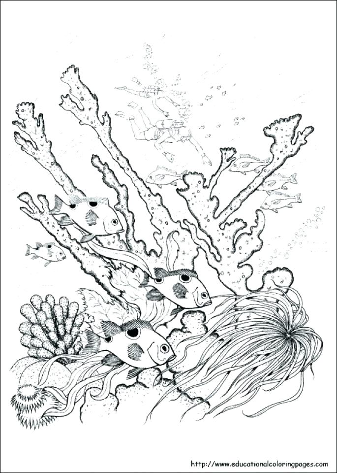 685x960 Free Nature Coloring Pages Nature Coloring Pages For Adults