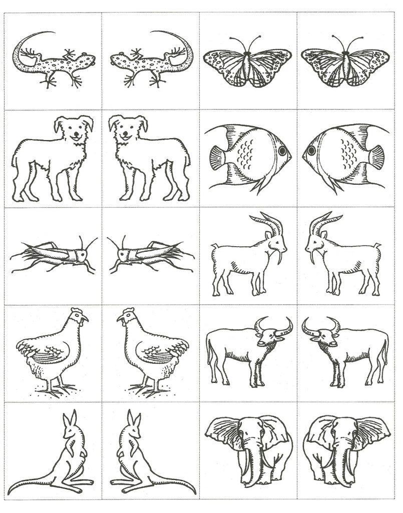 Noah's Ark Coloring Page 805x1025 Noah's Ark Coloring Page