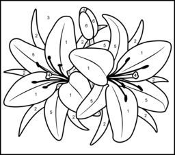 256x226 Color By Number Coloring Pages For Adults Lily