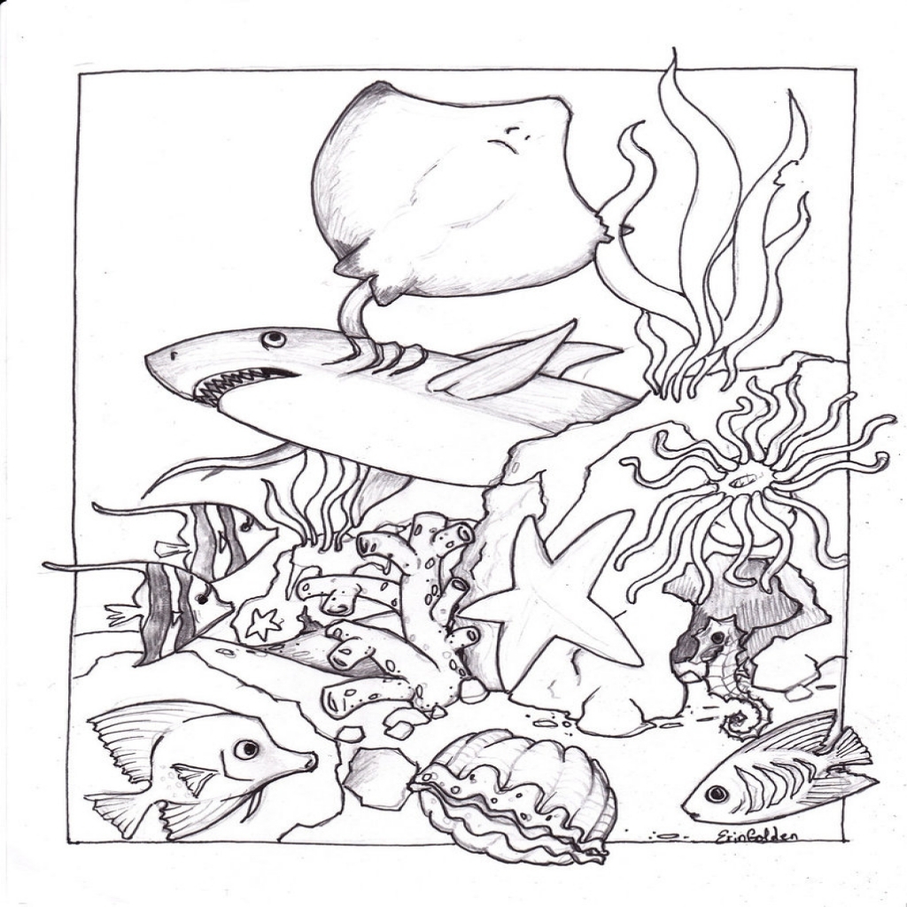 1024x1024 Free Printable Ocean Coloring Pages For Kids Regarding The Awesome