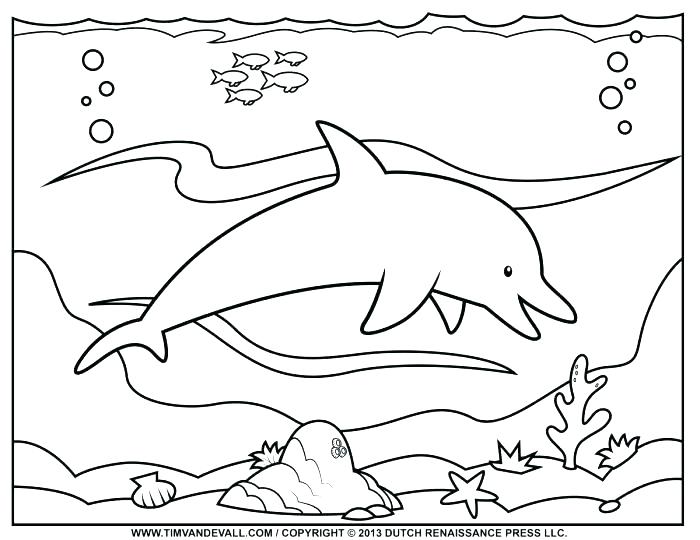 700x540 Coloring Pages Sea Animals Free Printable Ocean Coloring Pages