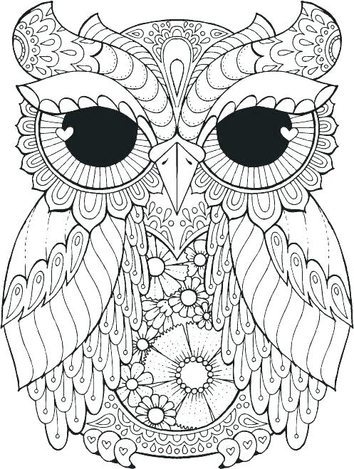 497x659 Great Horned Owl Coloring Page Large Size Of Great Horned Owl