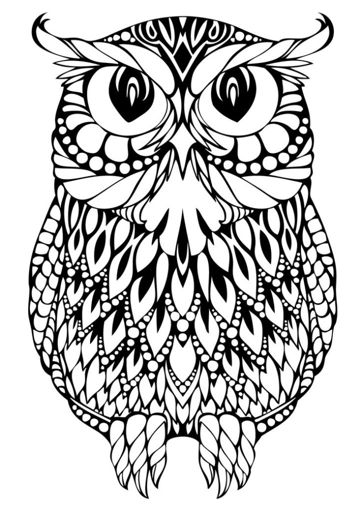 Ideas About Owl Coloring Pages On Coloring Pages 724x1024 Ideas About Owl Coloring Pages On Coloring Pages