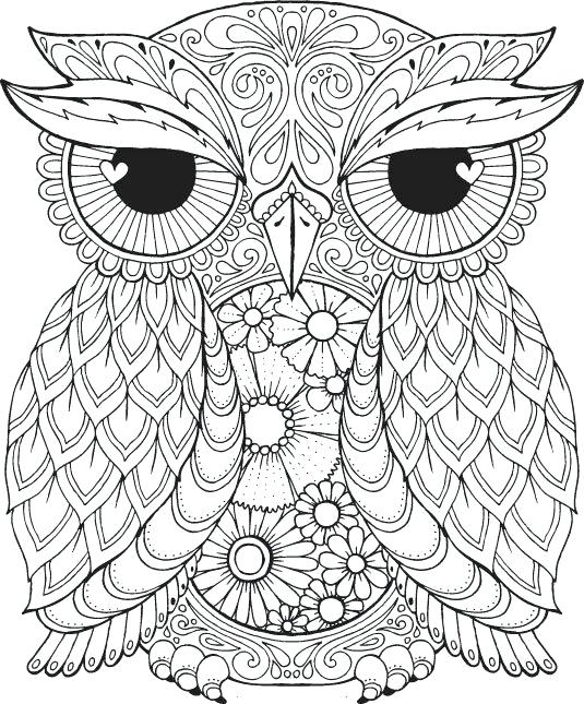 Printable Owl Coloring Pages For Adults Free Owl Coloring Pages 535x645 Printable Owl Coloring Pages For Adults Free Owl Coloring Pages