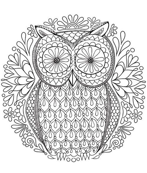 62 Best Owl Coloring Pages Images On Owls, Mandalas 500x589 62 Best Owl Coloring Pages Images On Owls, Mandalas
