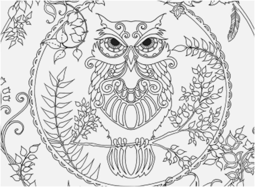 Printable Owl Coloring Pages Pic Owl Coloring Page Adult Club 827x609 Printable Owl Coloring Pages Pic Owl Coloring Page Adult Club