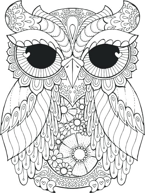 Owls Coloring Pages For Adults 497x659 Owls Coloring Pages For Adults