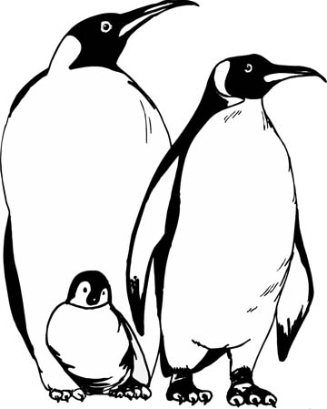 Penguin Coloring Pages For Those Have Happy Feet 360x449 Penguin Coloring Pages For Those Have Happy Feet