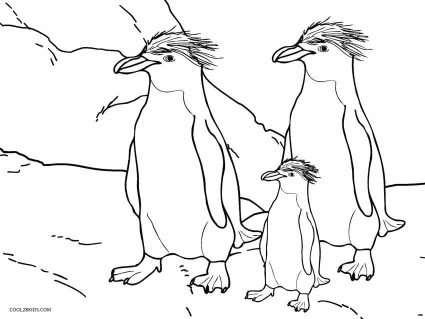 Printable Penguin Coloring Pages For Kids Cool2bkids Animal 850x638 Printable Penguin Coloring Pages For Kids Cool2bkids Animal