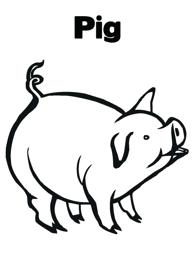 685x886 Free Printable Pig Coloring Pages For Kids Pig Coloring Page Pig