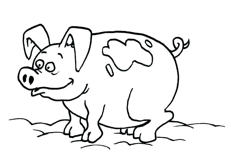 875x620 Baby Piglet Coloring Pages Baby Pig Coloring Pages And Piglet