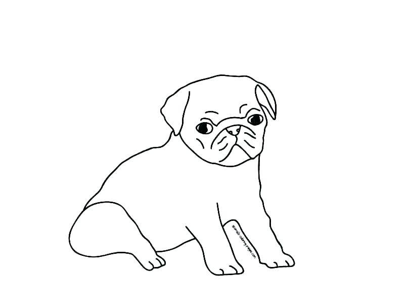 Pug Coloring Book Pug Coloring Page Pug Coloring Page Custom Pug 805x604 Pug Coloring Book Pug Coloring Page Pug Coloring Page Custom Pug
