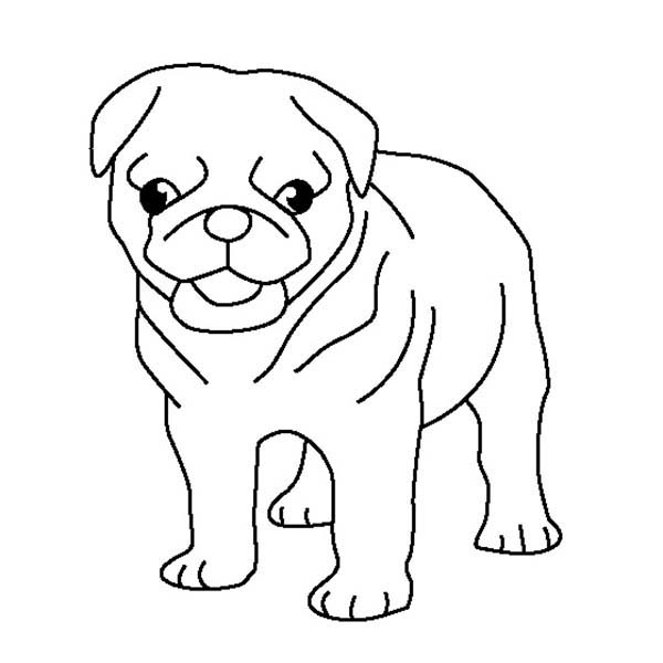 Pug Coloring Pages 600x600 Pug Coloring Pages