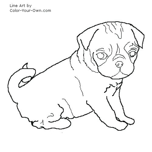 Pug Coloring Pages Pug Coloring Page Pug Coloring Page Pugs 500x500 Pug Coloring Pages Pug Coloring Page Pug Coloring Page Pugs