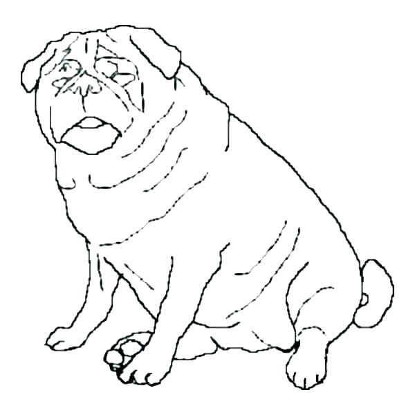 Pug Coloring Pages Pug Colouring Pages Printable Coloring Cute 600x600 Pug Coloring Pages Pug Colouring Pages Printable Coloring Cute