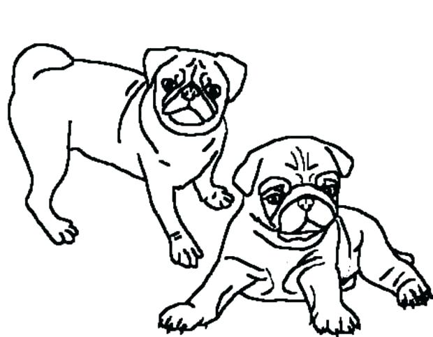 Pug Colouring Pages Printable Coloring Page In Jumper 620x483 Pug Colouring Pages Printable Coloring Page In Jumper