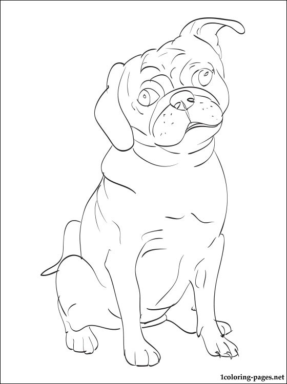 Pug Coloring Page Coloring Pages 560x750 Pug Coloring Page Coloring Pages
