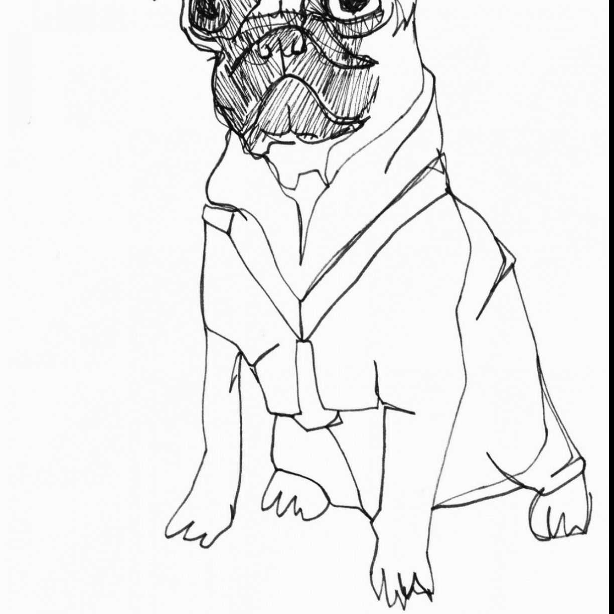 Remarkable Pug Coloring Pages For Adults Kids Pics Free Printable 1224x1224 Remarkable Pug Coloring Pages For Adults Kids Pics Free Printable