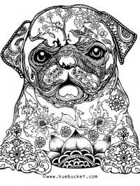 Free Printable Pug Coloring Page Sidney Available For Download 200x267 Free Printable Pug Coloring Page Sidney Available For Download