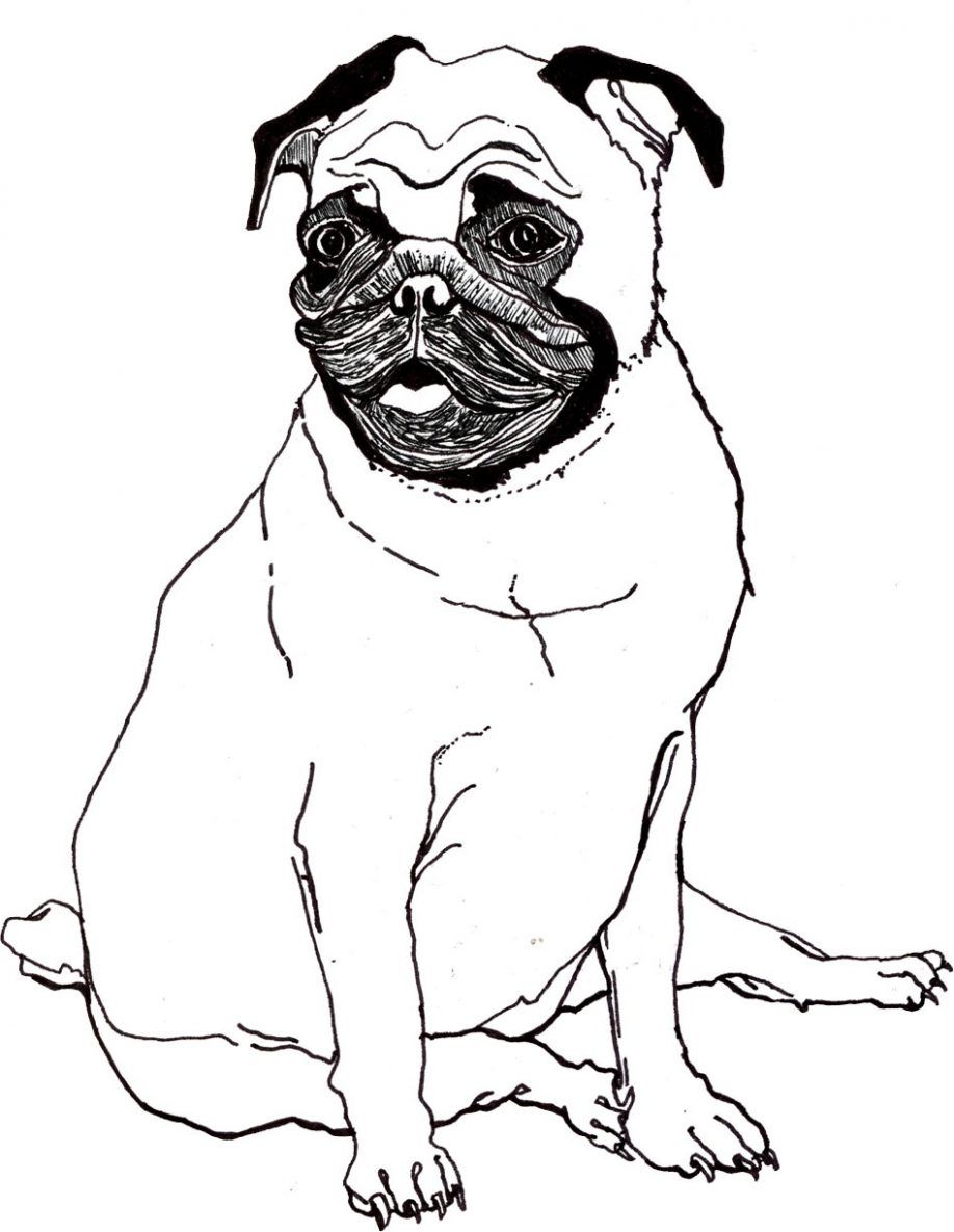 Printable Pug Coloring Pages Free Pug Coloring Sheets. Kids 918x1185 Printable Pug Coloring Pages Free Pug Coloring Sheets. Kids