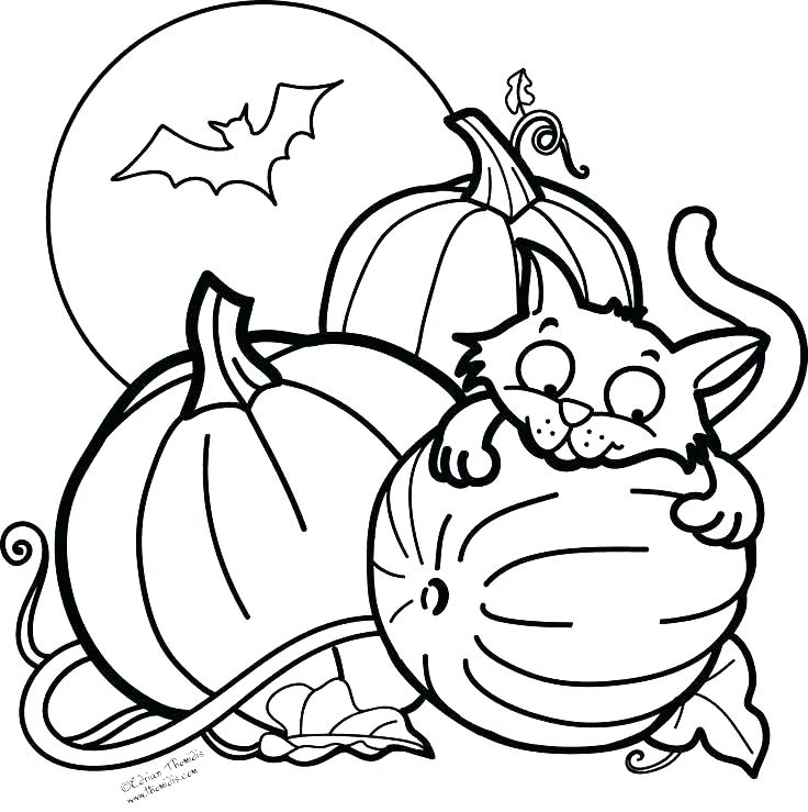 Pumpkin Coloring Pages Free Printable Pumpkin Coloring Page 736x739 Pumpkin Coloring Pages Free Printable Pumpkin Coloring Page