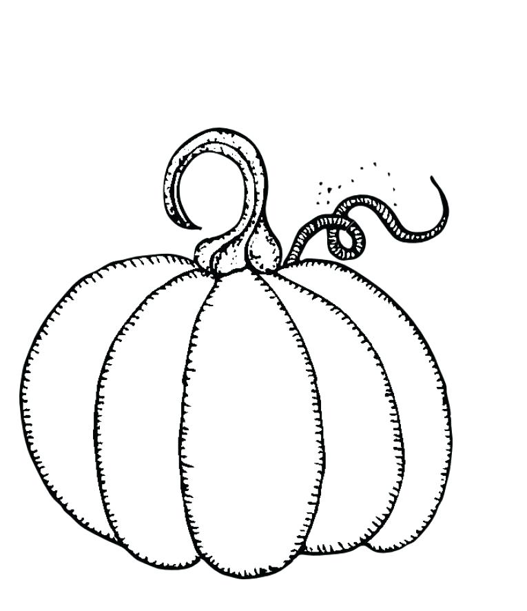 Mini Pumpkin Coloring Pages 765x886 Mini Pumpkin Coloring Pages