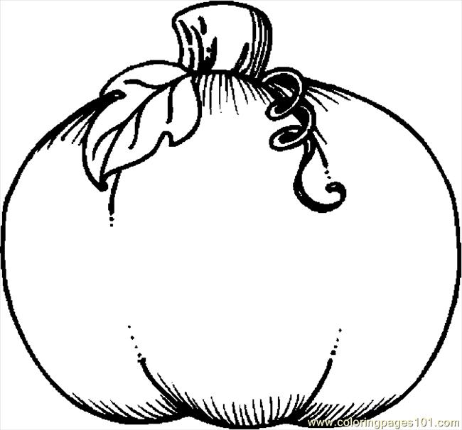 Color In Pumpkin 22 Coloring Pages Of A Pumpkin Free Printable 650x606 Color In Pumpkin 22 Coloring Pages Of A Pumpkin Free Printable