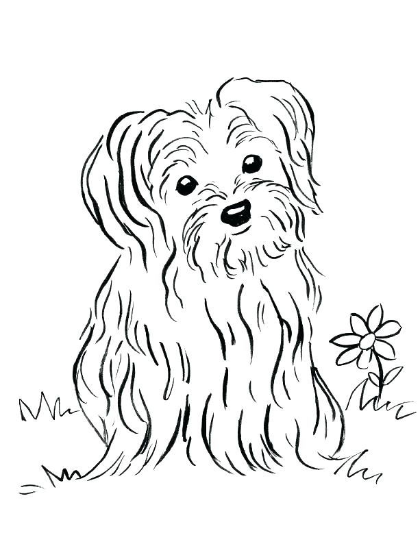 Printable Puppy Coloring Pages