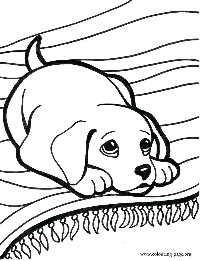 Puppy Color Pages Puppy Coloring Page For Adults Printable Puppy 700x912 Puppy Color Pages Puppy Coloring Page For Adults Printable Puppy